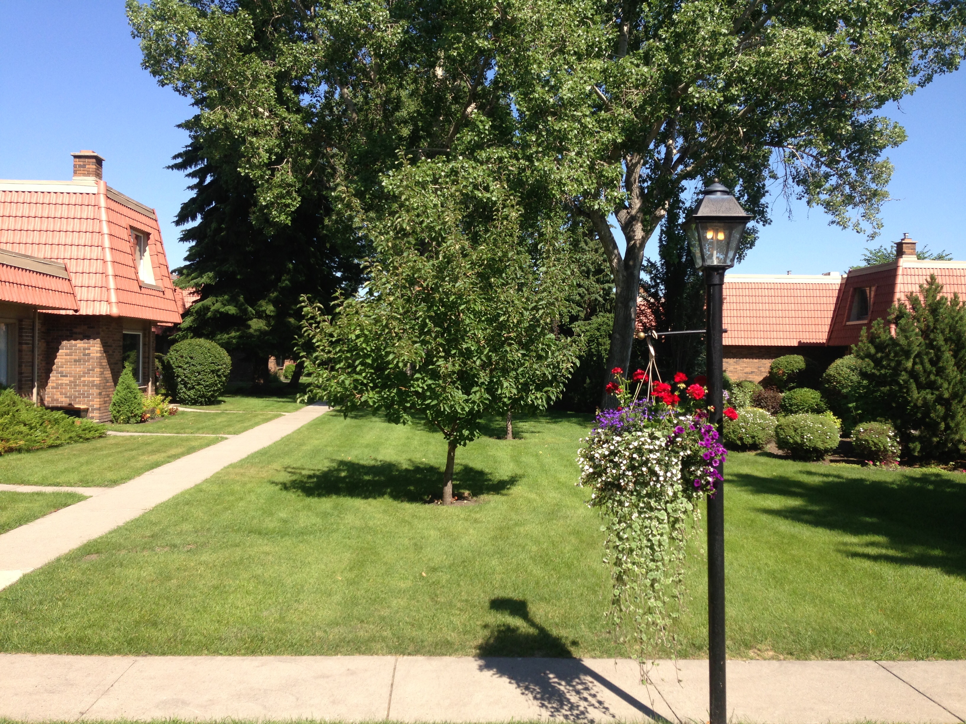 Condominium/Commercial Property Lawn Care