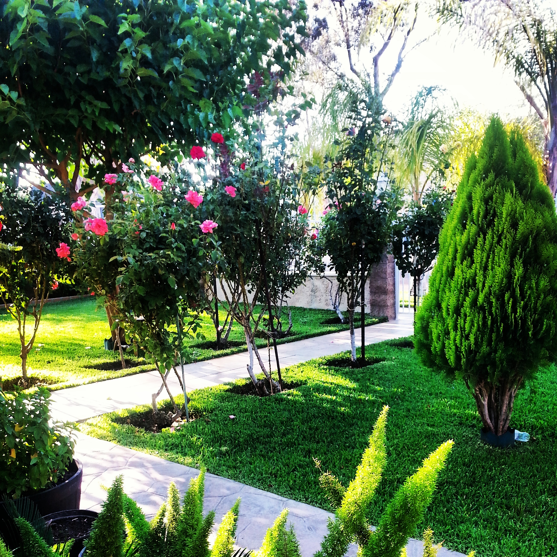 J&M Lawn Maitenance