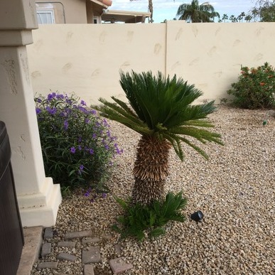 Fast Clean Landscaping