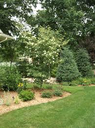Victor's Landscaping