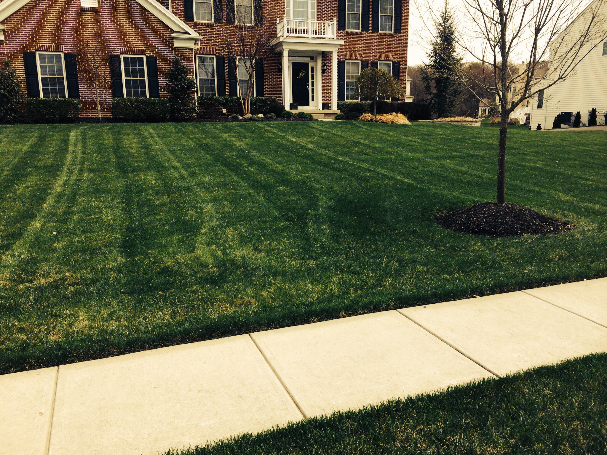 Hydroseeding specialists