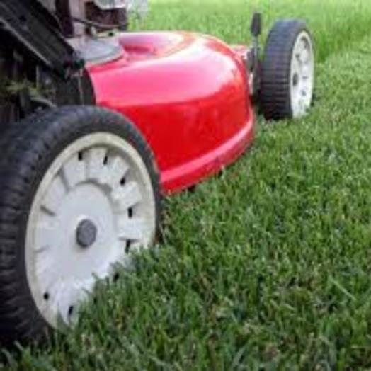 C&B Lawn Care