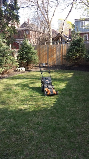 Get Your Lawn and Yard in shape for spring! Avoid gas to cut your grass! chose our eco-friendly lawn services