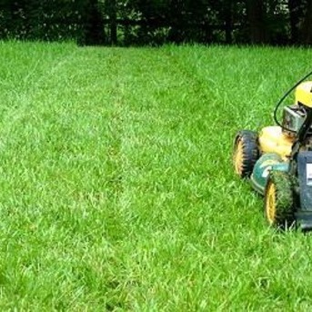 Lawn care