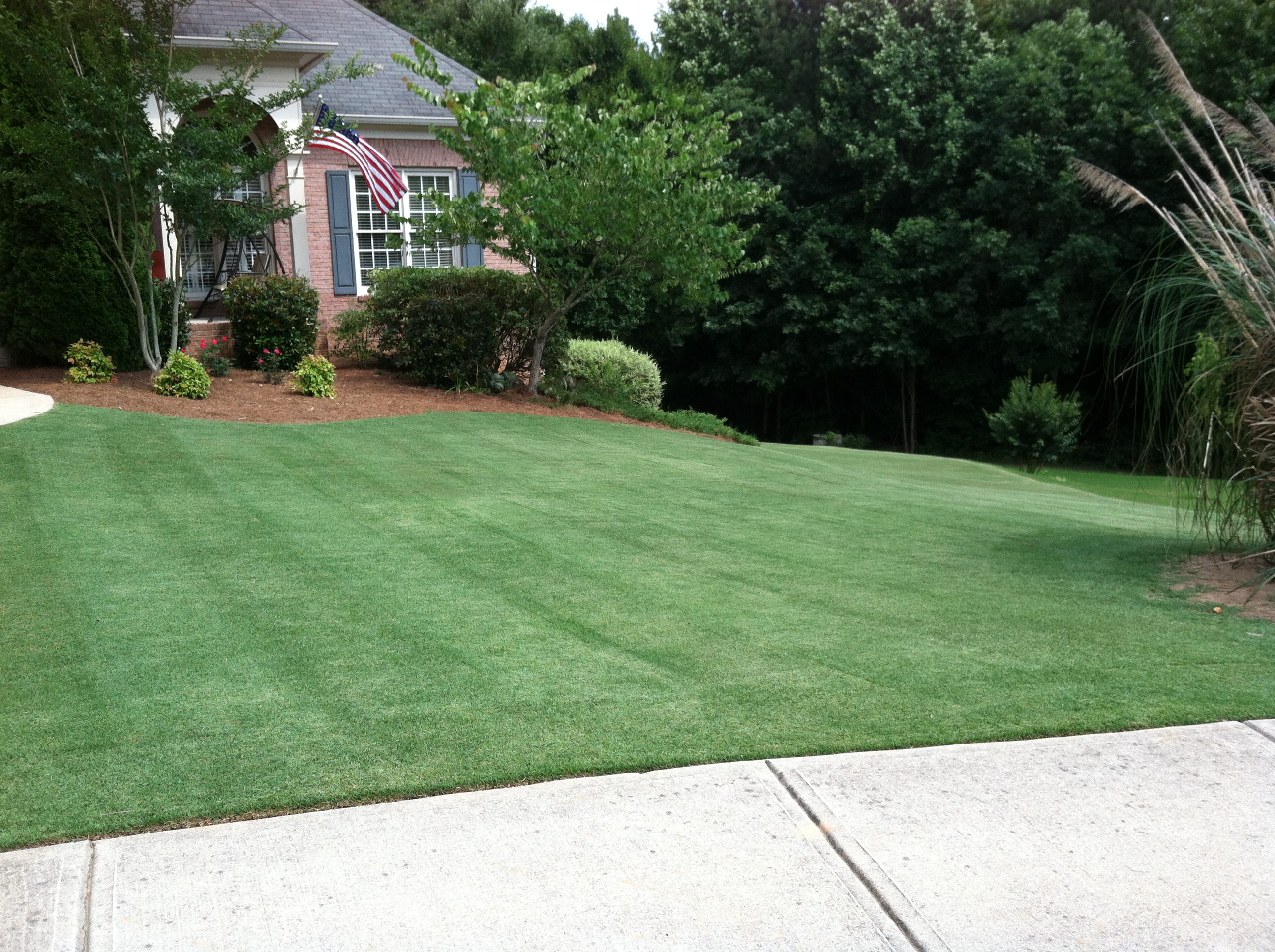 Reel Mower/Reel Mowing Lawn Maintenance/Core Aeration/Lawn Care (Buford) (Dacula) (Suwanee) (Duluth) (Sugar Hill) (Forsyth)