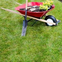Hello, I am a landscaper who will do the job that is desired