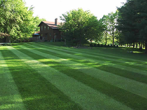 Landscaper (cleaning & maintenance) (union county)