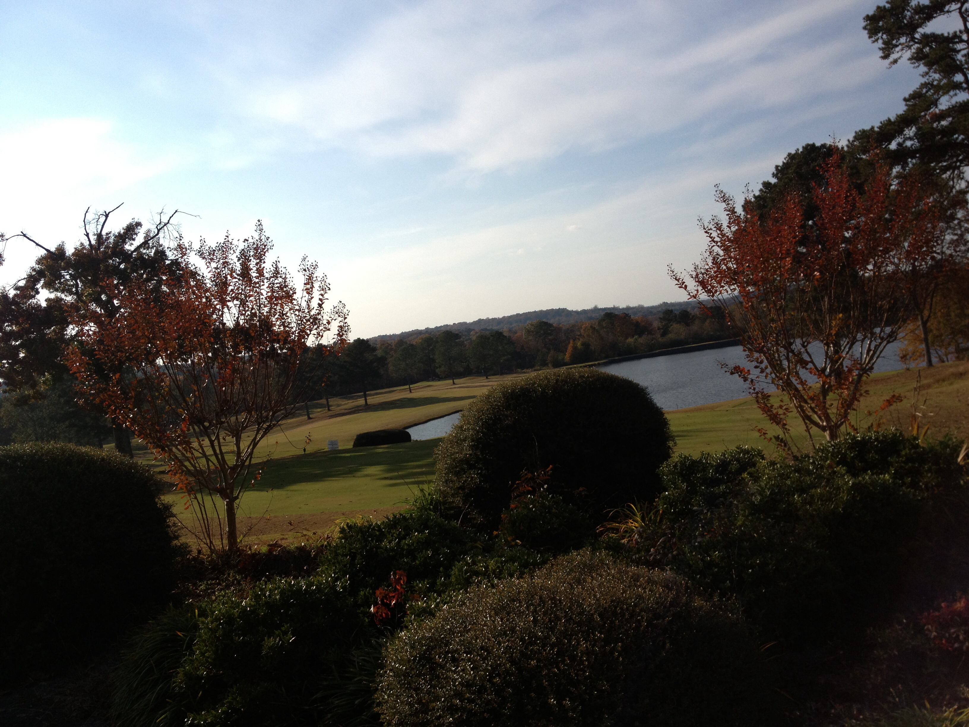 Landscapes N More