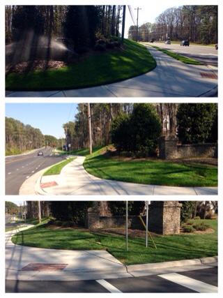 Landscaping Services (Carrboro, Chapel Hill & Durham NC