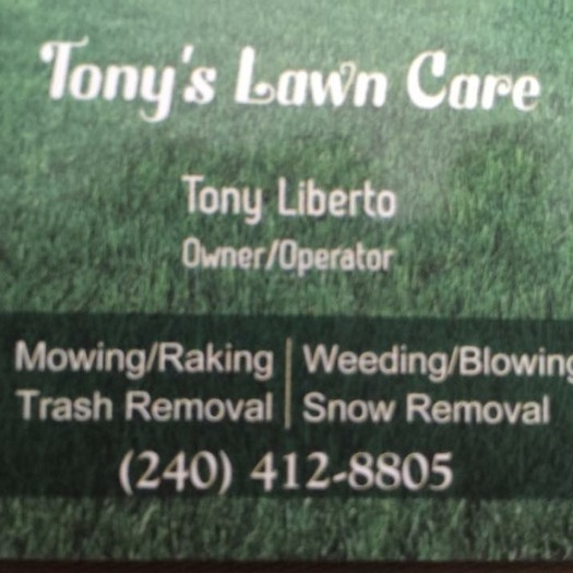 Excellent landscaper