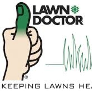 Make your lawn look GREEN, THICK, and WEED FREE today! We guarantee results!