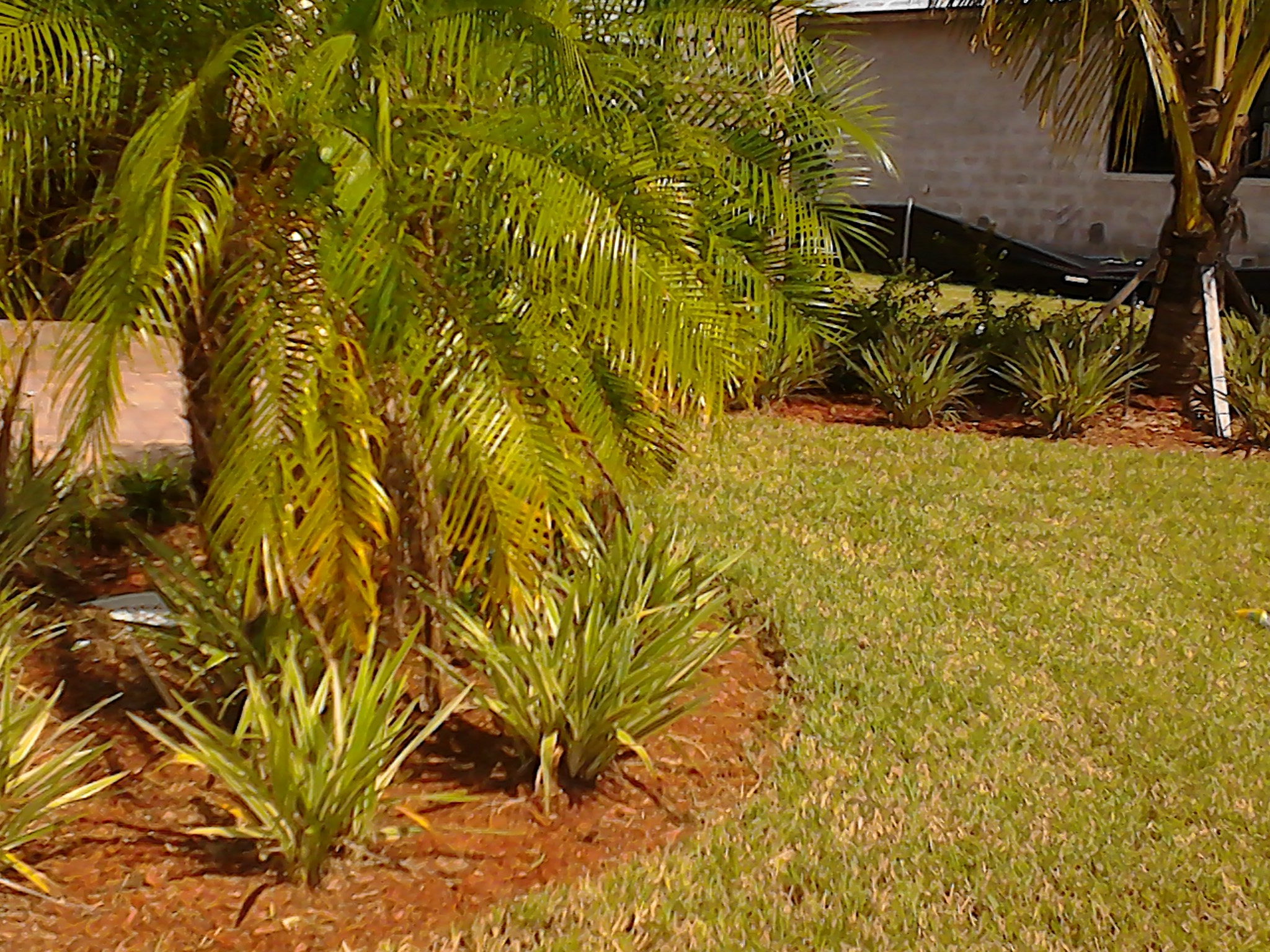 Landscaping For Less