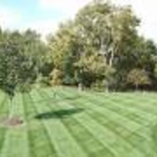 Abraham Landscaping, A Cut Above The Rest