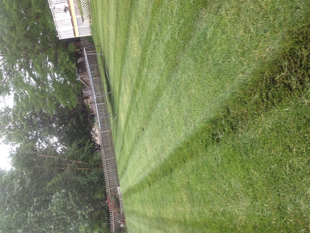 Lawn care service