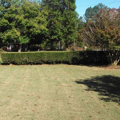 K & D Landscaping & Lawn Maintenance Affordable & Dependable