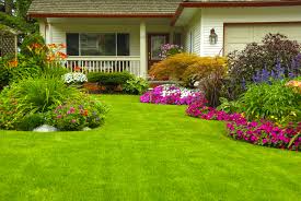 Lawn Maintenance Service
