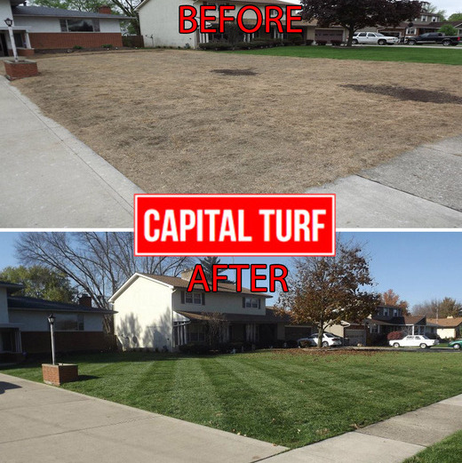 Highest Quality Lawn Care in Columbus! Professionally Striped Cuts. Peronalized lawn care plans for every client.