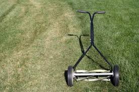 EcoScaping environmentally friendly lawn care