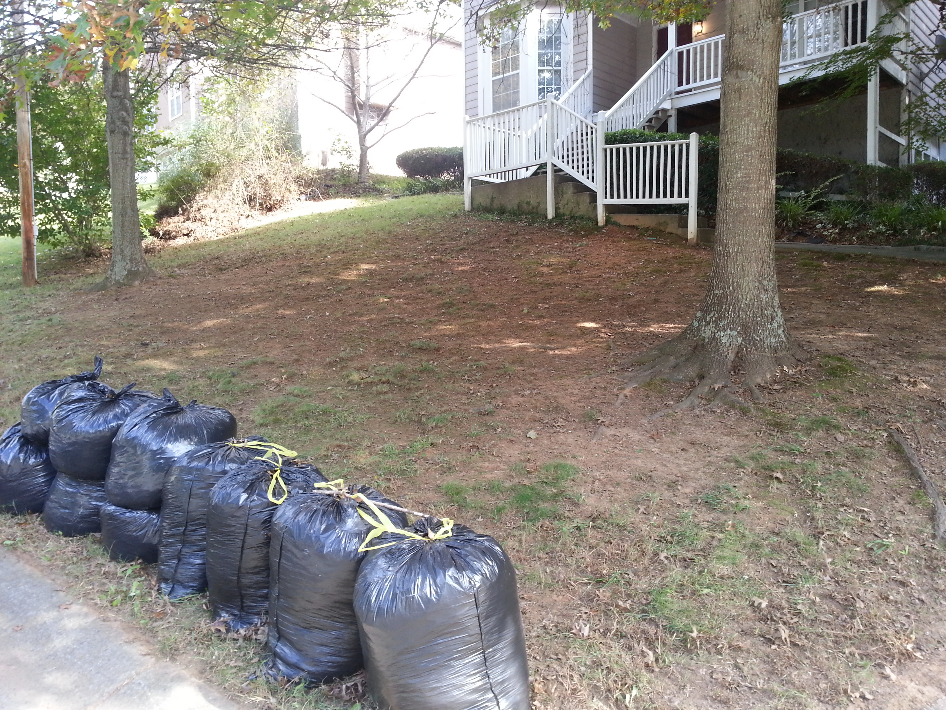 Landscape in Atlanta