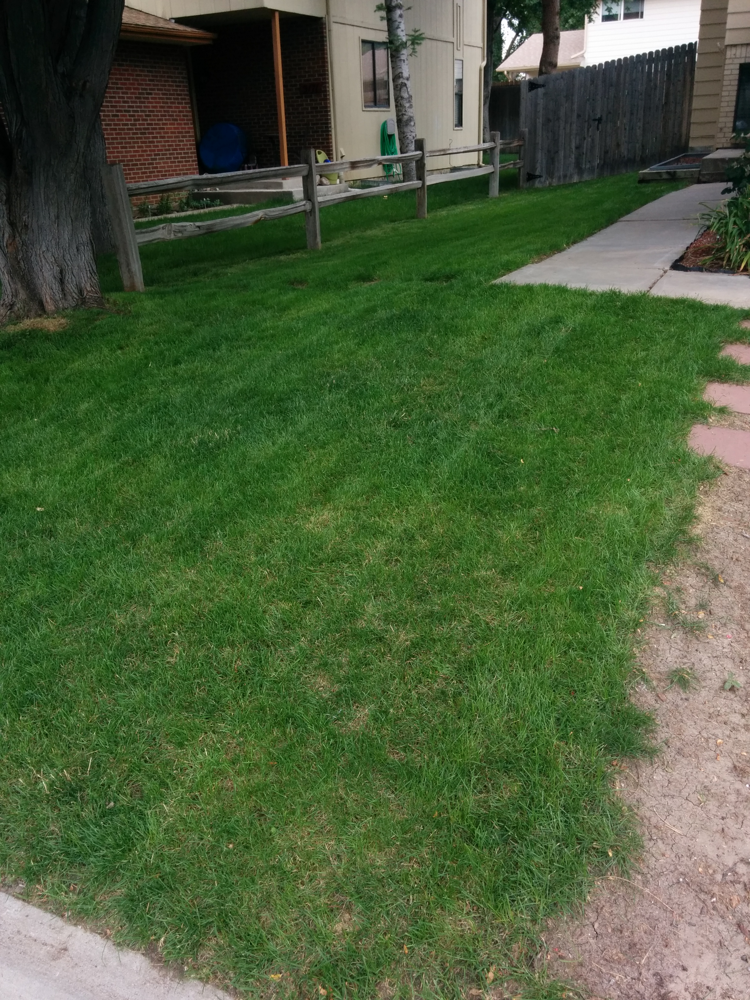 Lawn Mowing Service