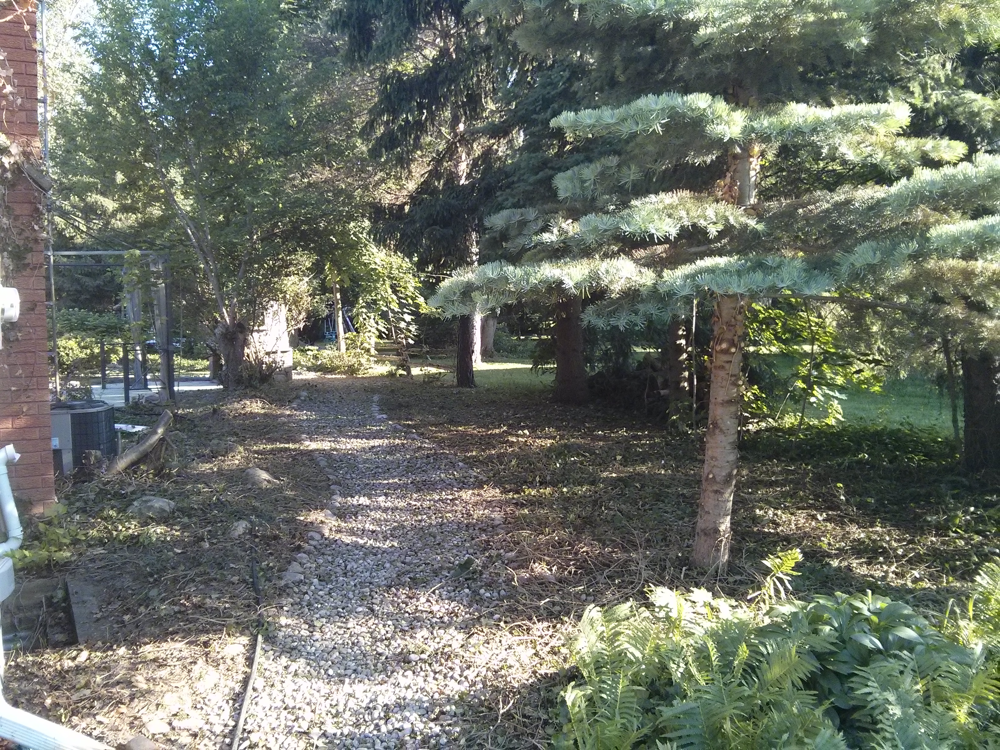 PROPERTY MAINTENANCE, Landscaping/General Labour, 3yr experience