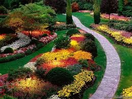 Outstanding experienced gardener and full service landscaper ,design, at a better than average price!