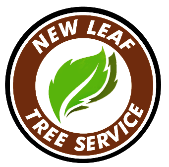 Tree Service, Landscaping, Property Improvement