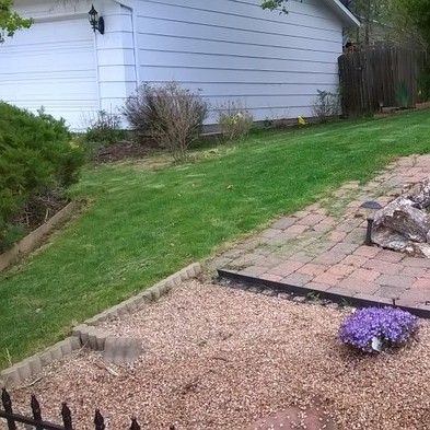 Free Lawn Mowing Limited Time Offer
