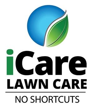 We don't just mow, we detail lawns