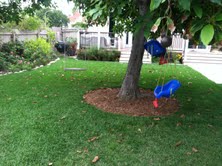 Earth One Landscape maintenance