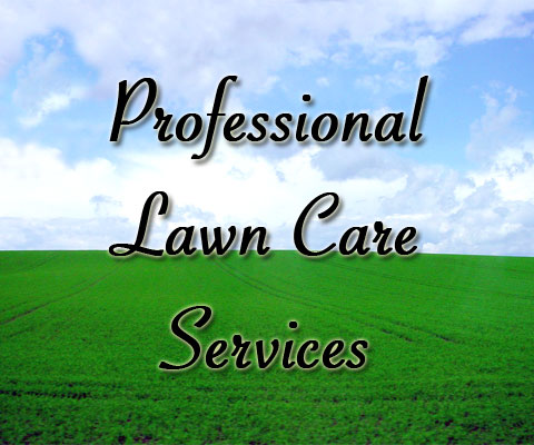 Forever Green Lawn Care
