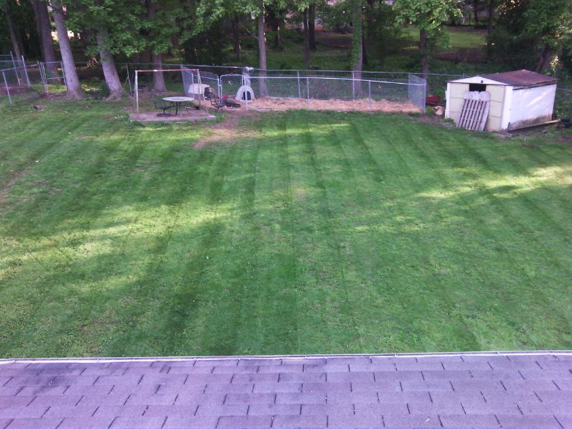 Lawn Service Can Be Provided! Cheap!