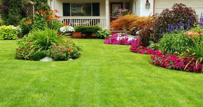 Proffesional Landscape At The Lowest Cost!