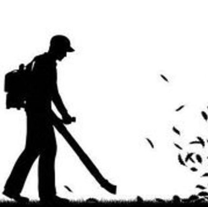 Landscaper-Amazing Work