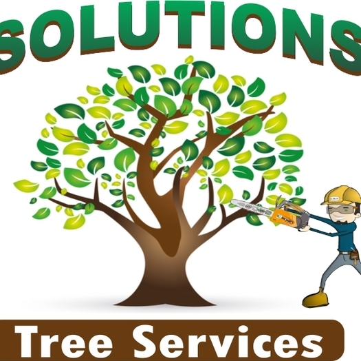Tree Service