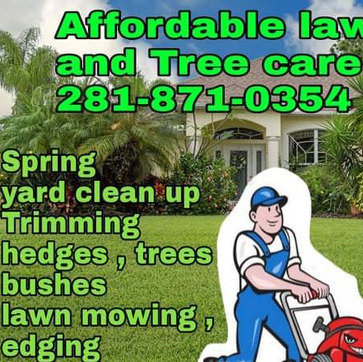Affordable lawn service and Tree care