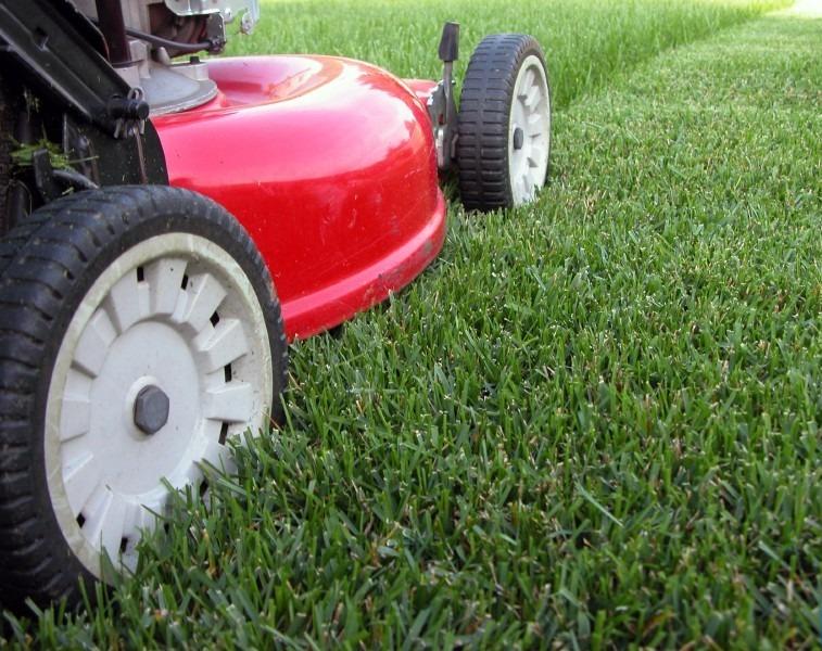 Need Lawn Maintenance? We will MEET or BEAT most Prices!