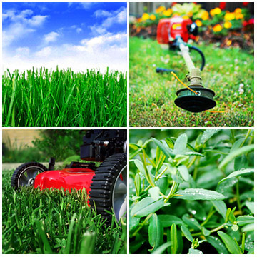 25-and Up Islas Landscape care