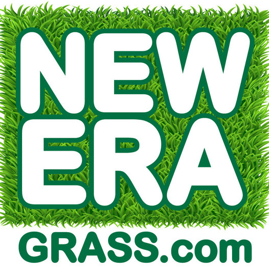 FREE! Drought-Friendly Landscaping and Artificial Grass Turf Installation Estimates! Only $4 psf WOW!