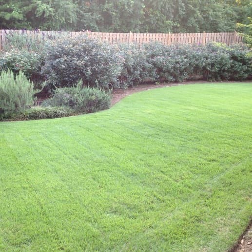 Excellent Landscaping and Professional Services and much much more