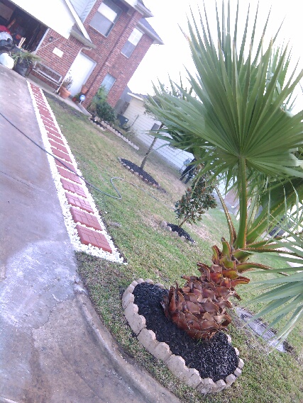 Randy landscaping and more