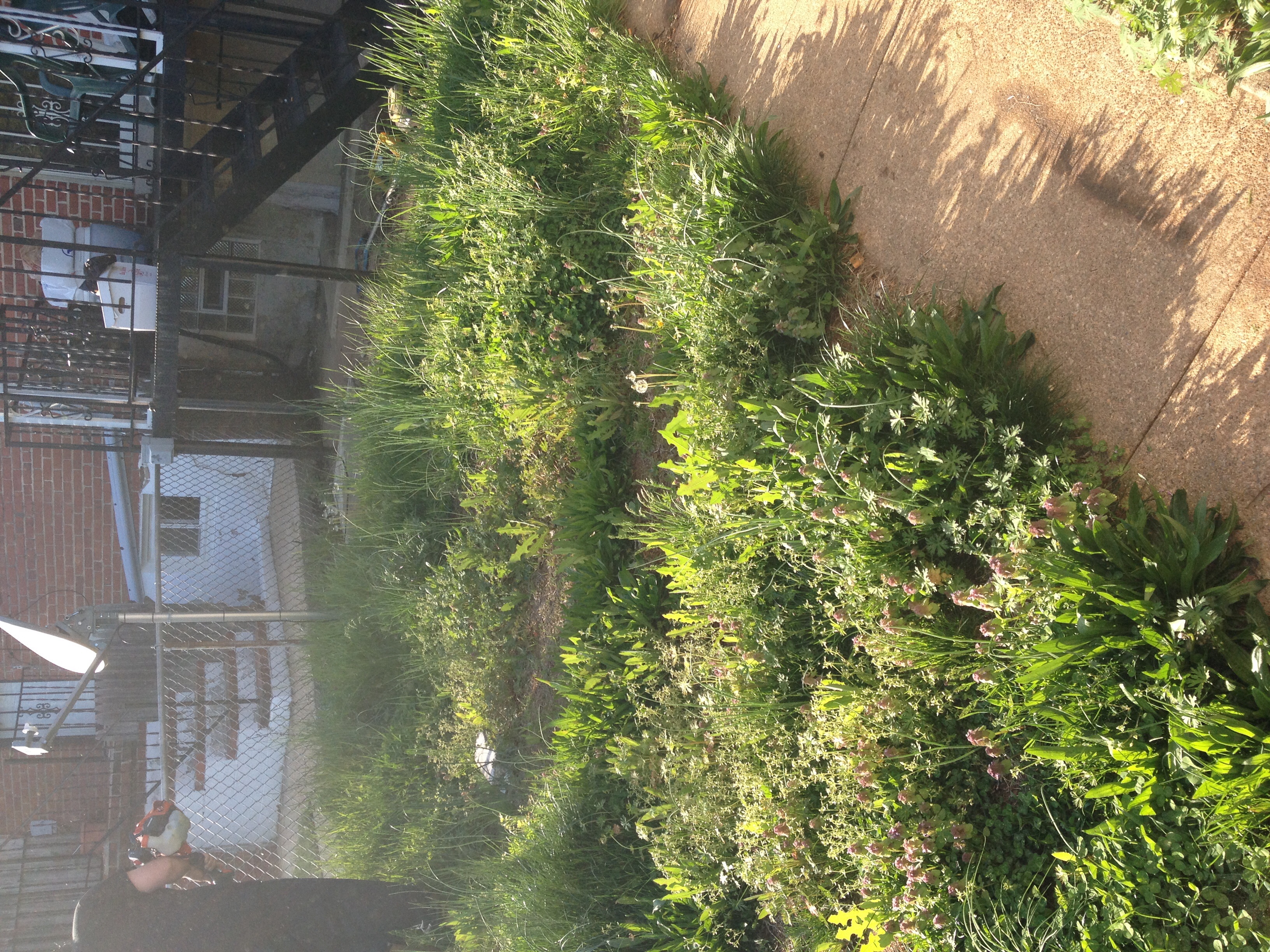 Cutting Residential Lawns