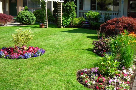 Lawn Care service