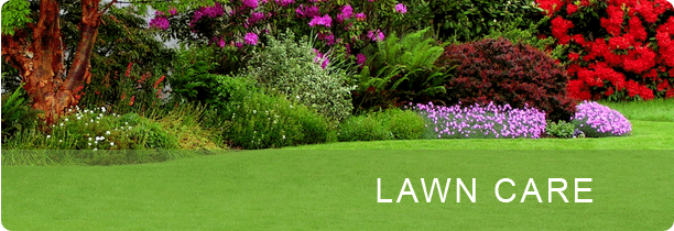 We Care Lawn Care