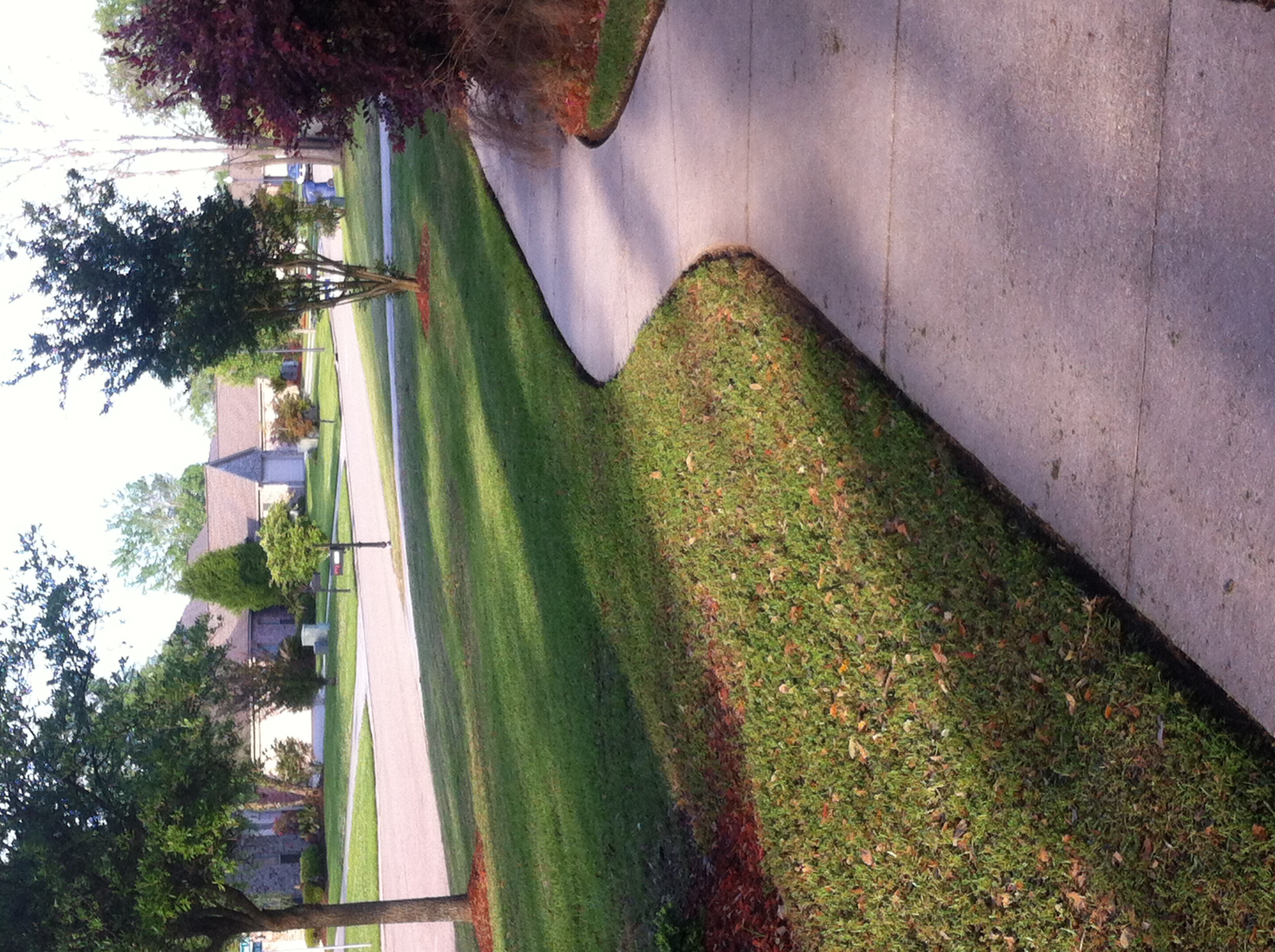 Ultimate Cut's Lawn care & Landscape, Baton Rouge & surrounding areas