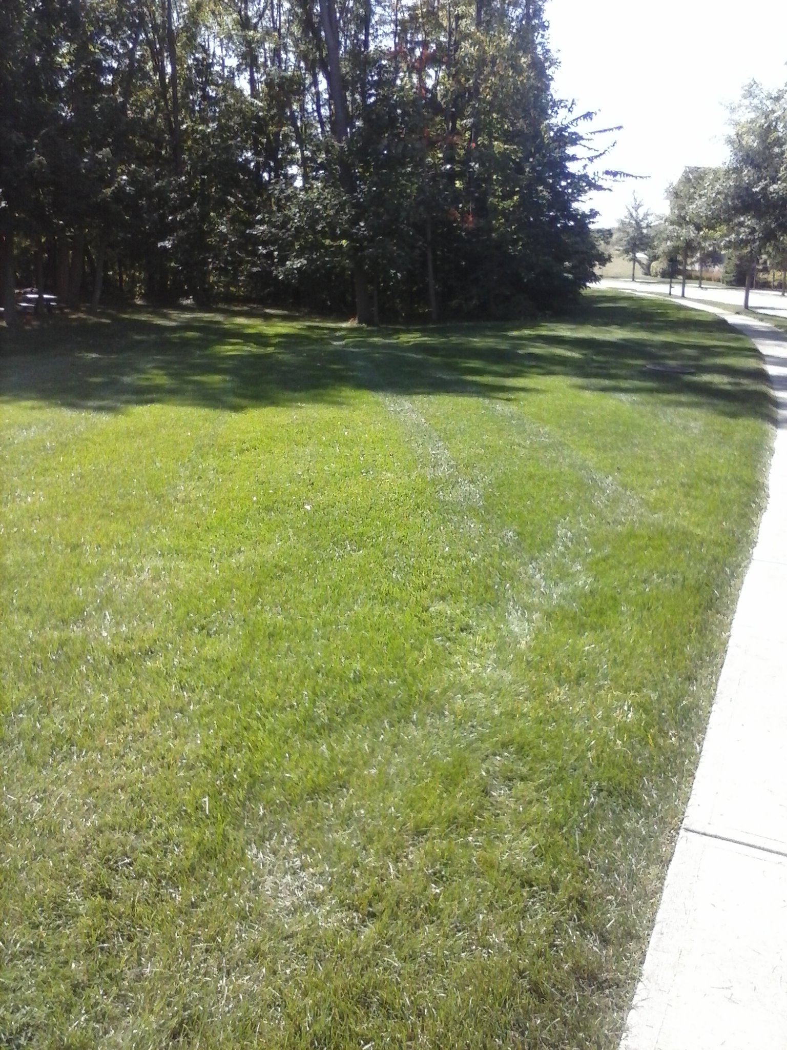 Spiegel Lawn Care