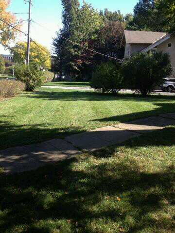 Commercial Elite Lawn Care