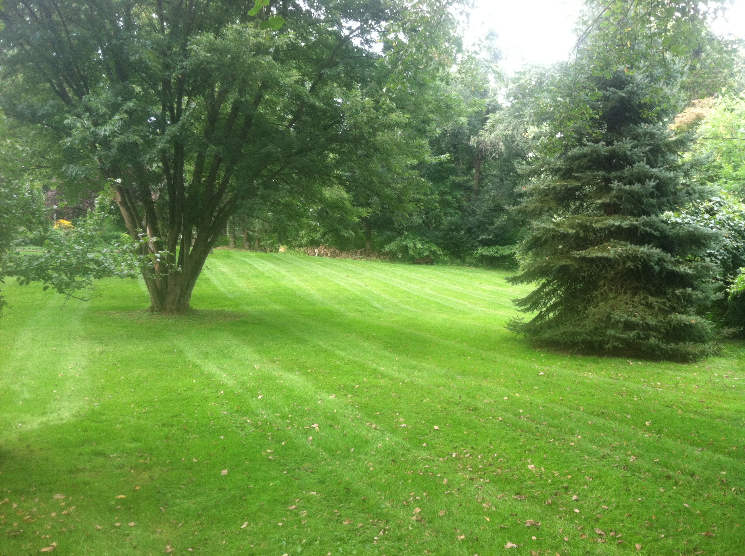 Laschen's Lawn Care & Landscaping LLC