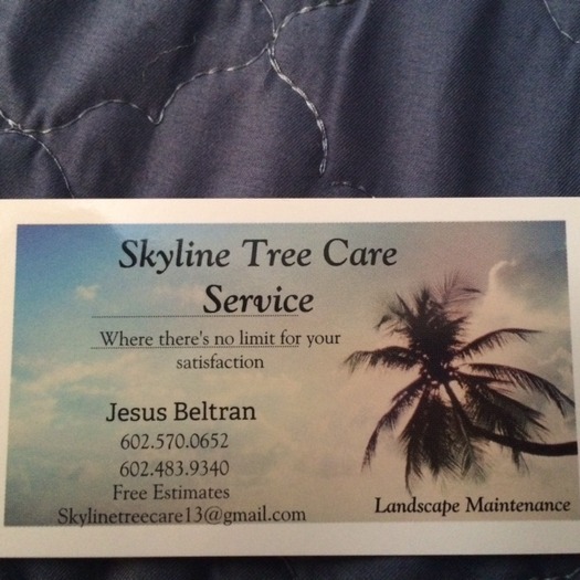 Skyline tree care & Landscape Maintenance