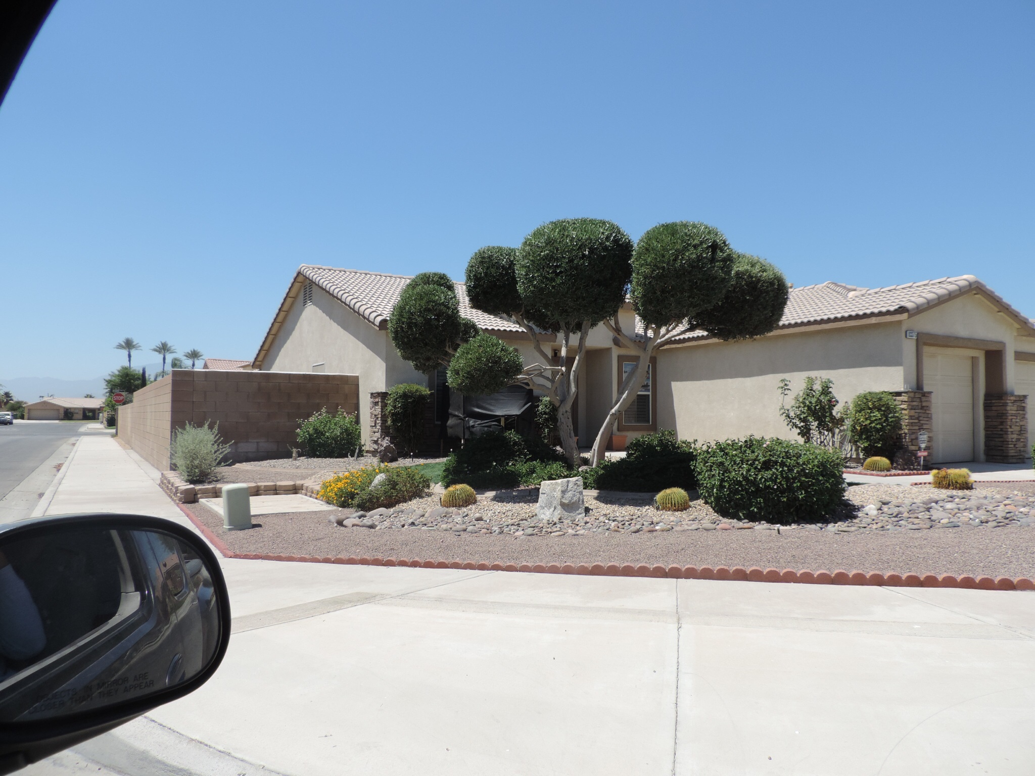 Landscape & Irrigation Maintenance